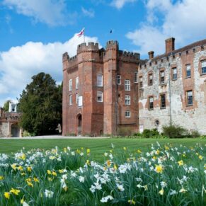 Farnham Castle exterior captured through the daffodils for this spring wedding