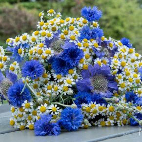Olde Bell Hurley Wedding Photography - gorgeous vibrant bride's bouquet