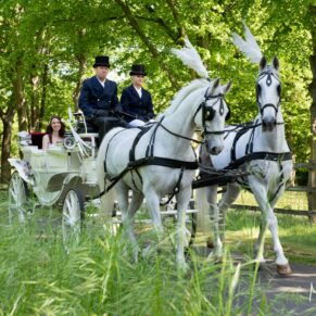 The newlyweds captured through tall grasses as they make their way through the Hedsor House Estate with their gorgeous white horses and carriage to enjoy their glorious summer's day wedding