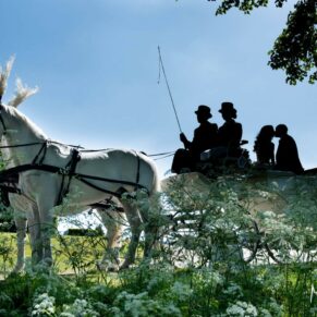 The newlyweds captured in silhouette with their horses and carriage through the flower meadow at their Hedsor House wedding