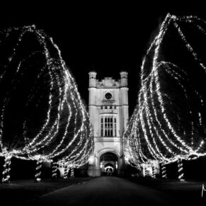 Night-time black and white wedding photography through the illuminated tree avenue at Danesfield House in Buckinghamshire