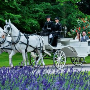 The combination of movement and colour has created the most wonderful image for this horse and carriage capture! I was blown away by the sheer number of wow backdrops at Clearwell Castle for this summer wedding in the Forest of Dean. And using the lavender in the foreground really draws the eye and contrasts against the bride and groom on their traditional gleaming white carriage. Shots like this happen in the blink of the eye, and they can't be repeated, so I have to plan ahead for the couple's arrival. Photography of the newlyweds arriving from the church ceremony on their carriage pulled by two stunning white horses through the lavender borders as they arrive at Clearwell Castle for their wedding reception