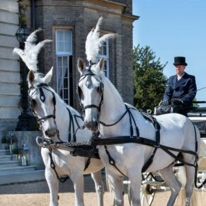The bride with her white horses and carriage outside the front of her Hedsor House wedding reception venue