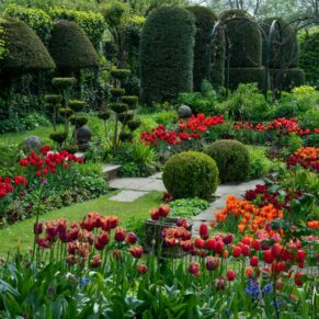 The most wonderful gardens Chenies Manor captured during tulip season